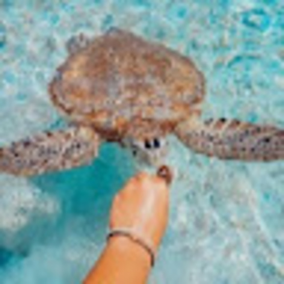 Meet your Posher, Cameron - Picture 1 of 1